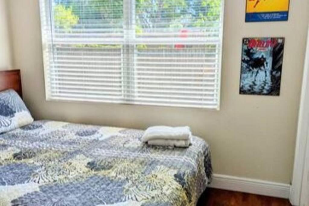 Spacious House With Big Backyard In N. Hyde Park / Close To Downtown Tampa Dış mekan fotoğraf