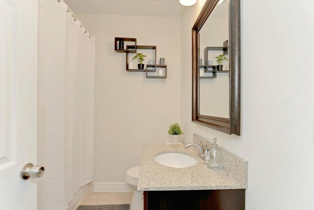 Spacious House With Big Backyard In N. Hyde Park / Close To Downtown Tampa Dış mekan fotoğraf